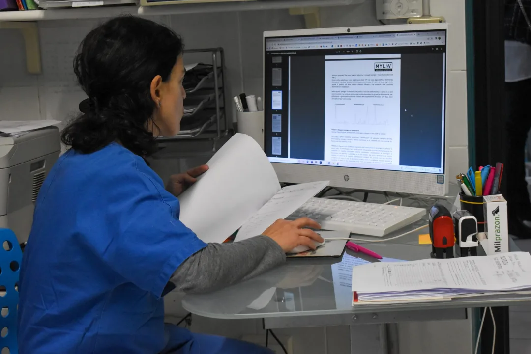 FOTO VET SCHIAVONIA 074 4K Scaled