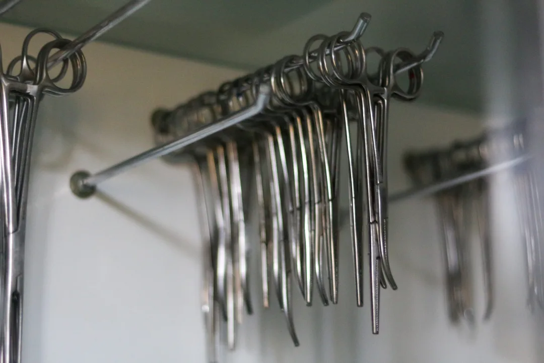 FOTO VET SCHIAVONIA 086 4K Scaled