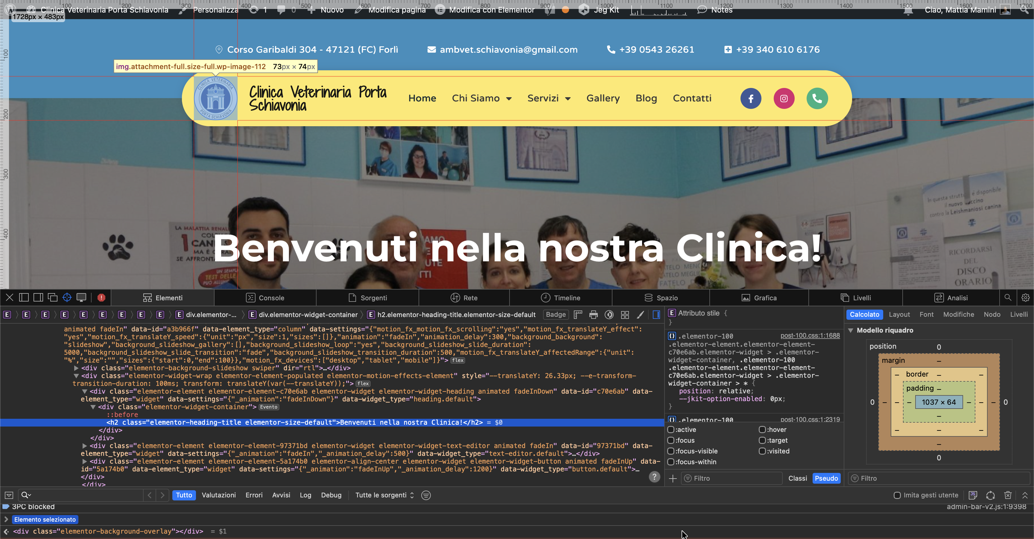 Progettazione home clinica veterinaria