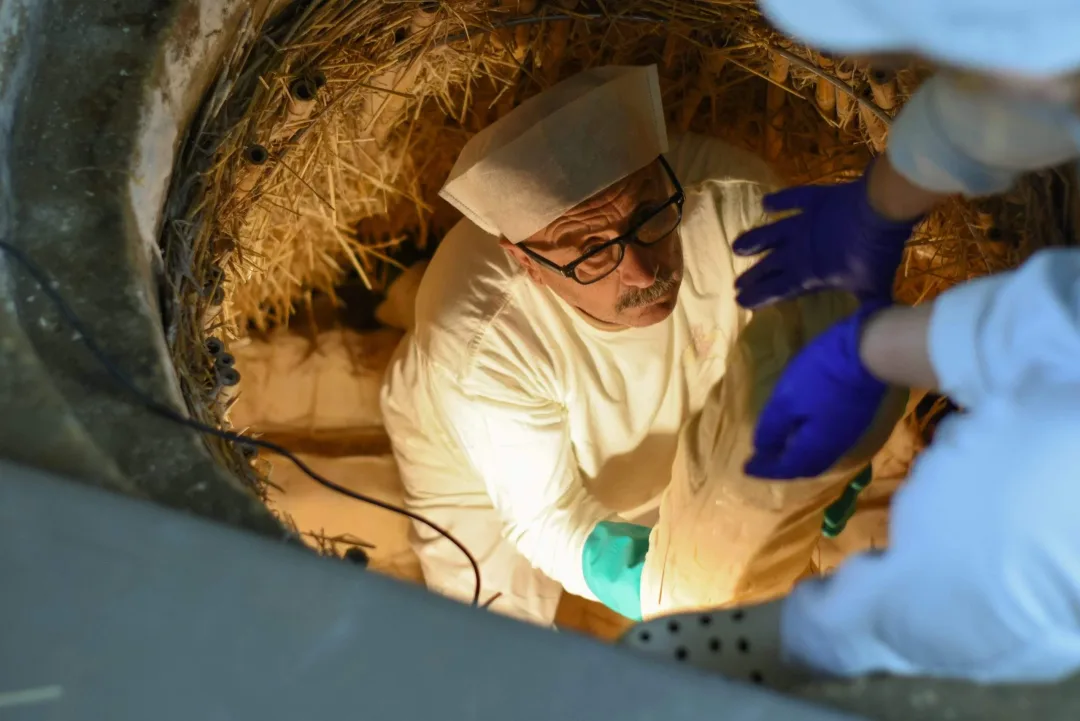 Gozzi28 10 21039 Scaled